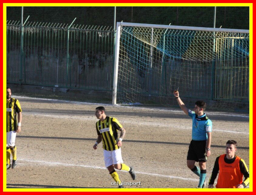 190310 Cephal_Torrenov 191_tn.jpg